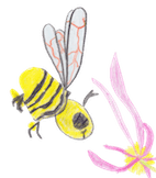 Abeille butine