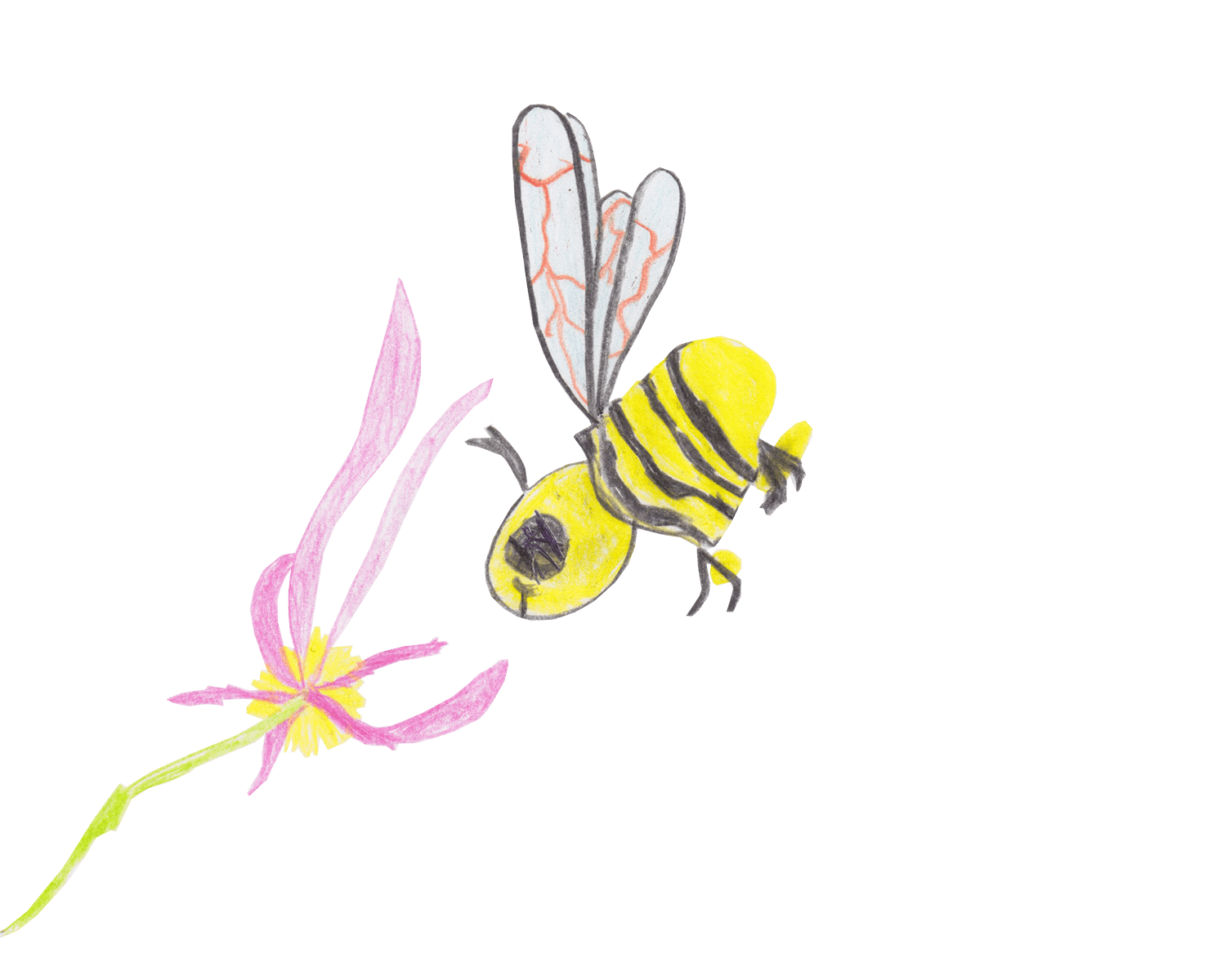 Abeille butine