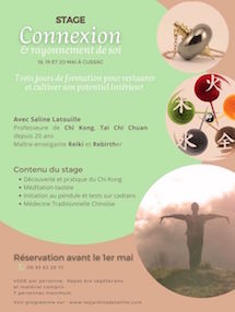 stage connexion