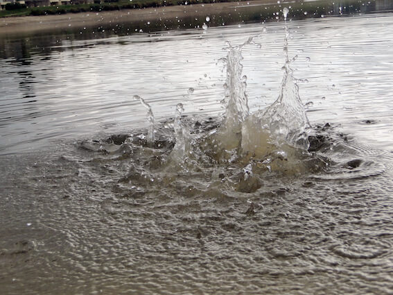 Un Pavé dansla mare !