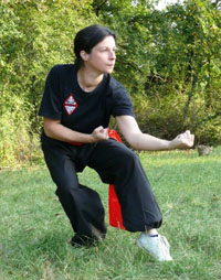 Kung Fu
