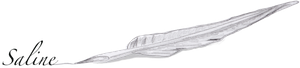 Plume